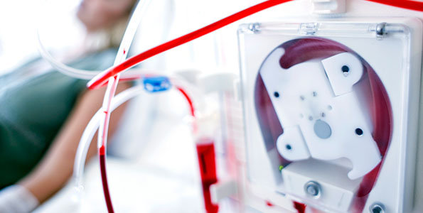 의과학연구소 관련 사진