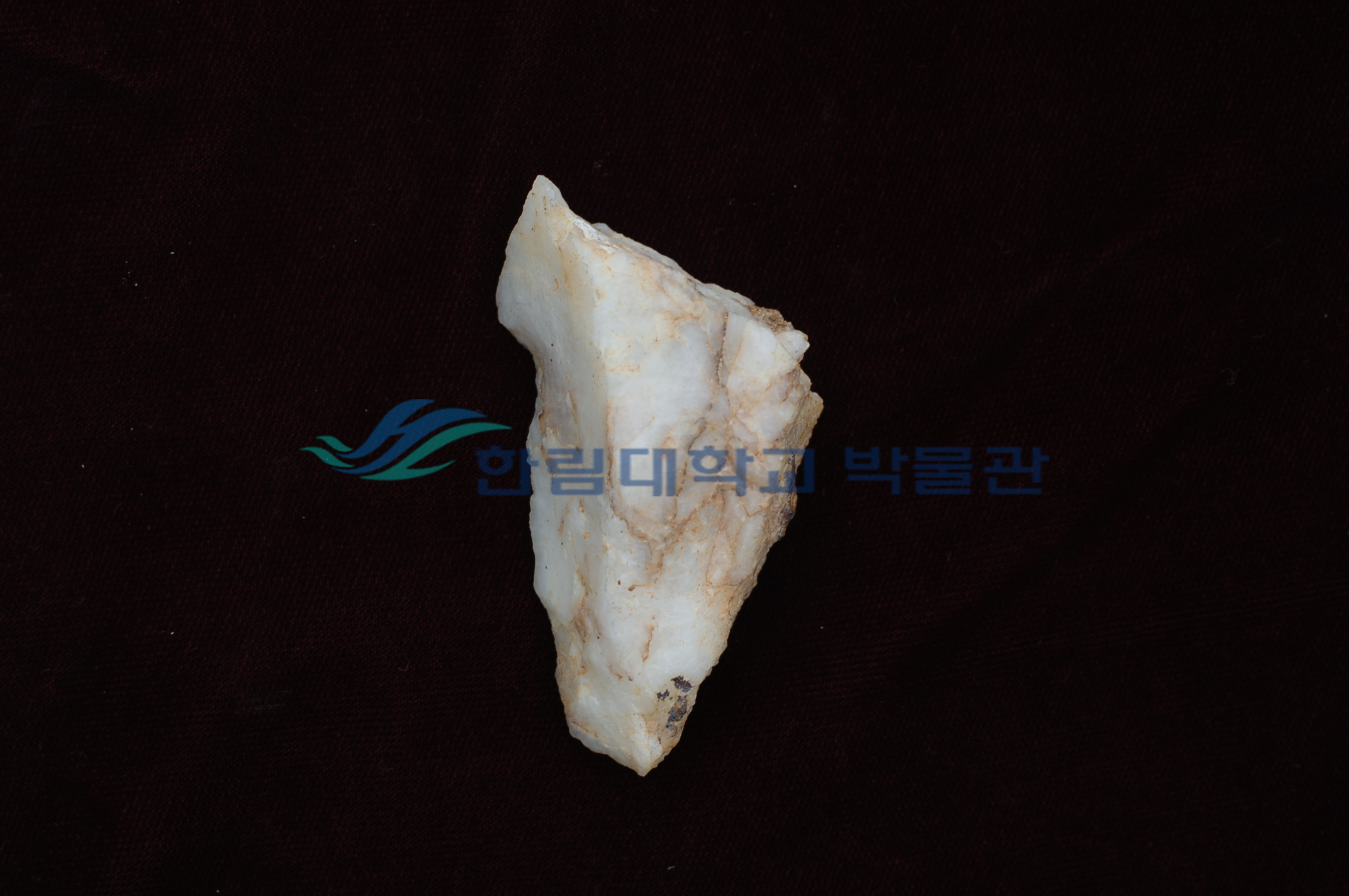 홈날 2023.jpg 이미지